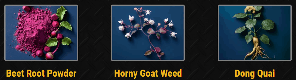 Nitric Boost Ultra - ingredients